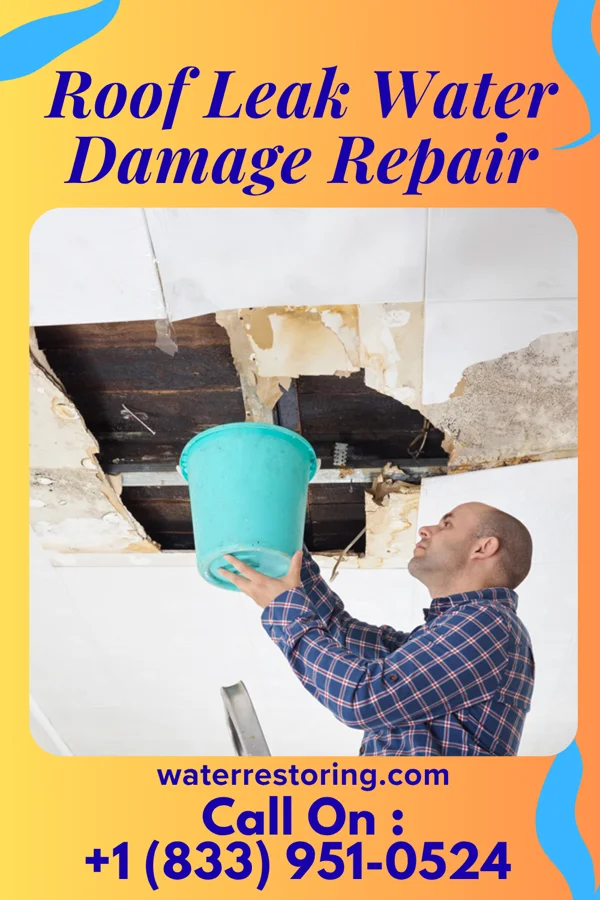 Roof Leak Water Damage Repair in Greenfield, IL